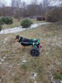 /album/salza/img-20201229-wa0009-jpg2/